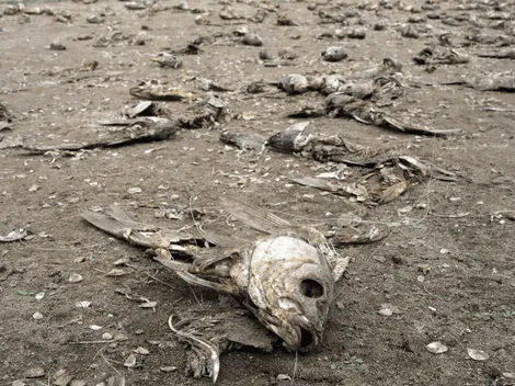 Temperatura podría aumentar hasta 3,2 grados al 2100