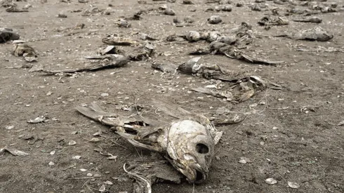 Temperatura podría aumentar hasta 3,2 grados al 2100