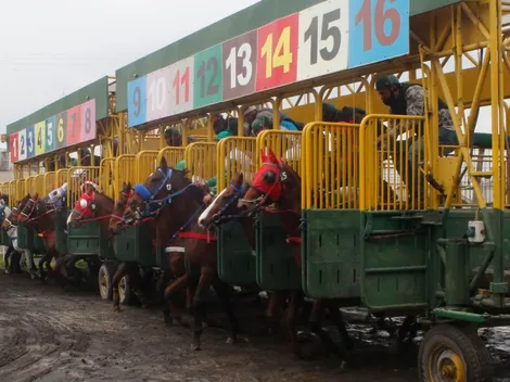 El Gran Premio Latinoamericano se toma la hípica chilena: Horario