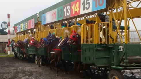 Los mejores caballos del continente se reúnen en Santiago este fin de semana.
