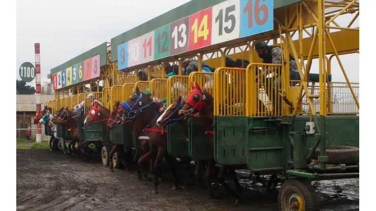 Los mejores caballos del continente se reúnen en Santiago este fin de semana.