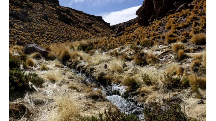 Río Silala