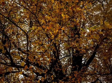 ¿A qué hora termina el verano en Chile?