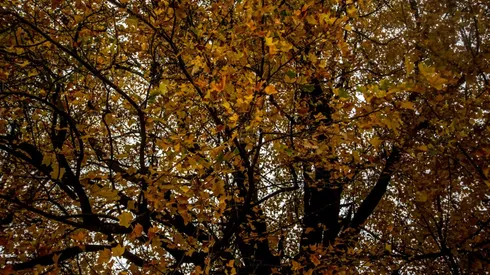 El equinoccio será este domingo 20 de marzo.