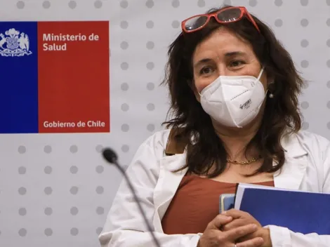 Gobierno confirma modificaciones al Plan Paso a Paso y protocolo de clases