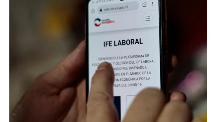 IFE Laboral Extendido