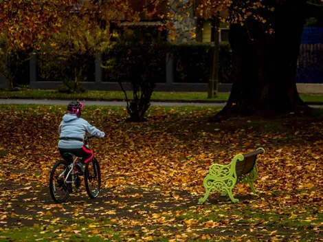 ¿Cuándo empieza el otoño y termina el verano?