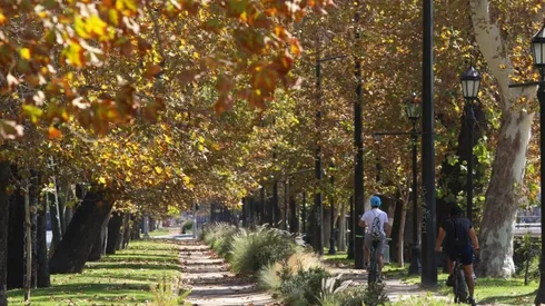 Actividades y aforo Fase 4 - Apertura Inicial