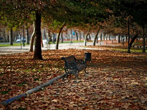Cambio de Estación | ¿Cuándo empieza el otoño en Chile?