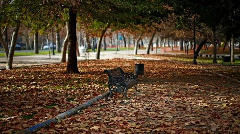 Revisa los detalles del cambio de estación.