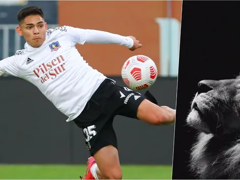 Joan Cruz en modo Alexis: no va citado y postea un león