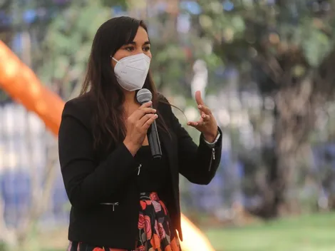 ¿Qué pasará con Estado de Excepción del sur en Gobierno de Boric?