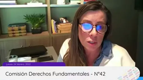 Teresa Marinovic vuelve a protagonizar un escándalo en la Convención Constituyente.