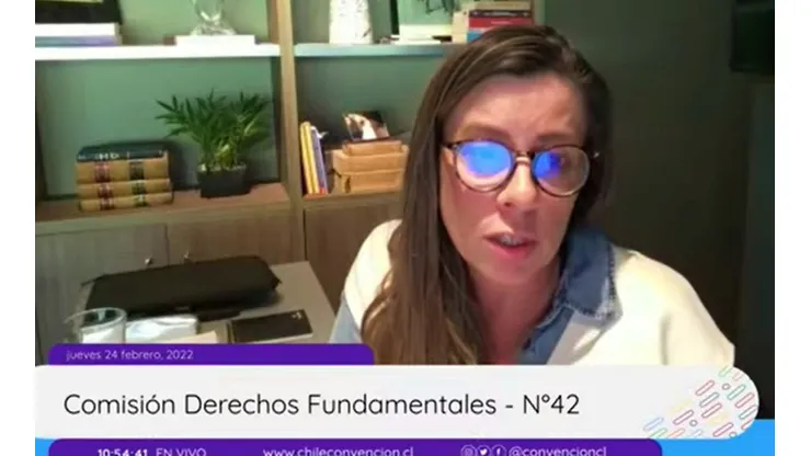 Teresa Marinovic vuelve a protagonizar un escándalo en la Convención Constituyente.