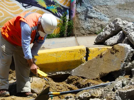 ¿Cuáles son los bonos del Subsidio al Empleo disponibles?