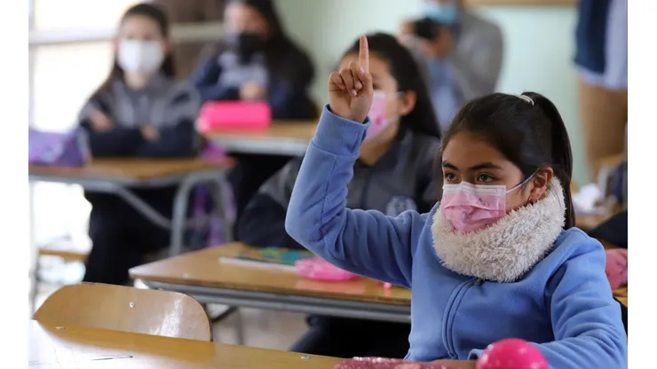 ¿En qué fases del Paso a Paso hay clases presenciales?