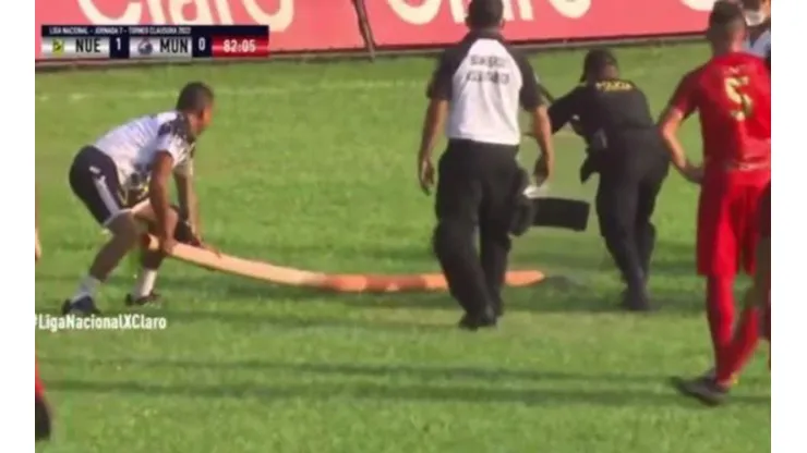 Jugadores y personal del estadio intentan capturar a la serpiente
