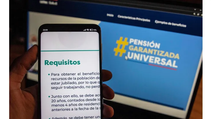 Pagos y requisitos PGU