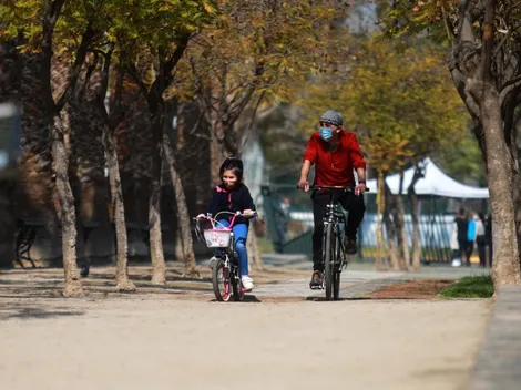 ¿Qué es la Fase 2 Transición y qué actividades puedo realizar?