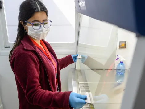 IFE Laboral | ¿Quiénes no pueden postular este mes?