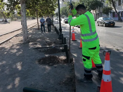 ¿Se debe postular al Bono Formalización de Trabajo?