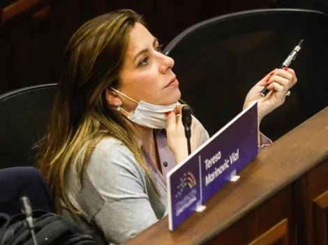 ¿Qué pasó con Teresa Marinovic en la Convención Constitucional?