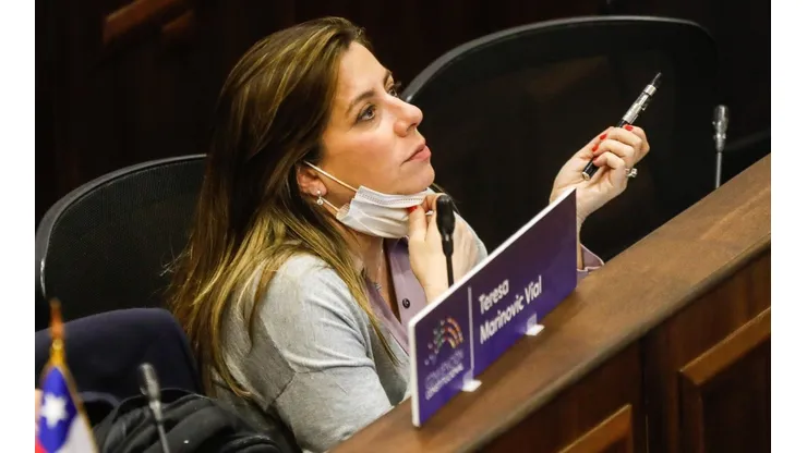 ¿Qué pasó con Teresa Marinovic en la Convención Constitucional?