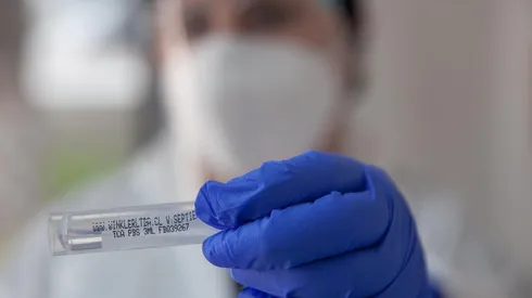 Conoce el detalle de lo establecido por el Minsal.