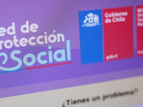 Red de Protección | Conoce AQUÍ a qué bonos y subsidios puedes postular