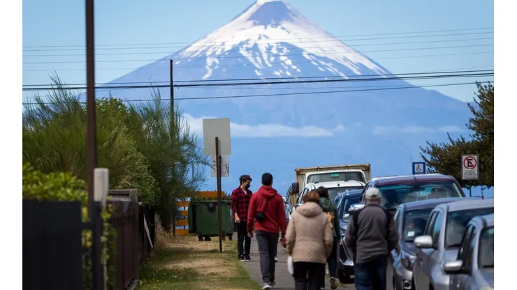 Conoe el detalle del documento sanitario.