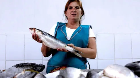 Fecha y forma de pago del BTM