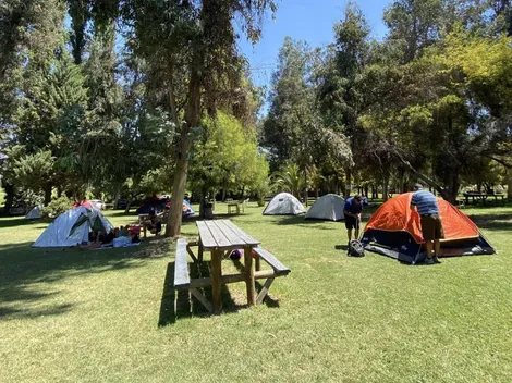 En carpas: Magallanes se fue de camping al recinto del Sifup