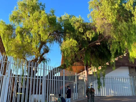 La historia del pimiento que vive dentro del estadio de Calama