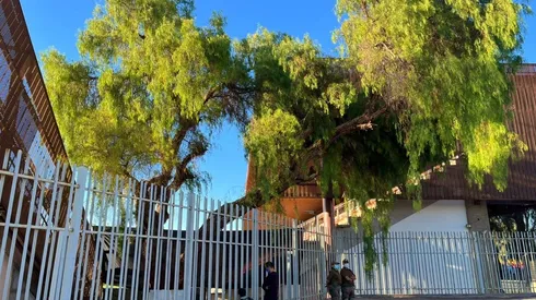 El pimiento que se encuentra al borde de la cancha en el estadio Zorros del Desierto por primera vez podrá presenciar un partido por Eliminatorias Sudamericanas para Qatar 2022