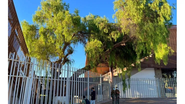 El pimiento que se encuentra al borde de la cancha en el estadio Zorros del Desierto por primera vez podrá presenciar un partido por Eliminatorias Sudamericanas para Qatar 2022
