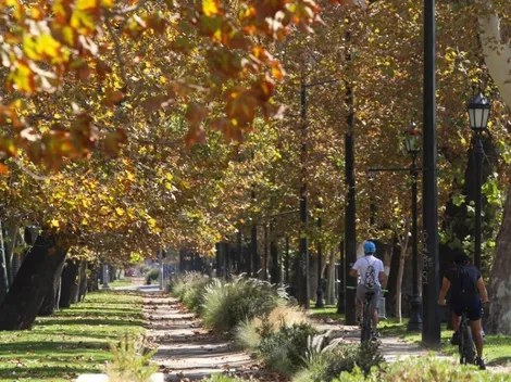 ¿Cuáles son las actividades que puedo realizar en Fase 1 Restricción?