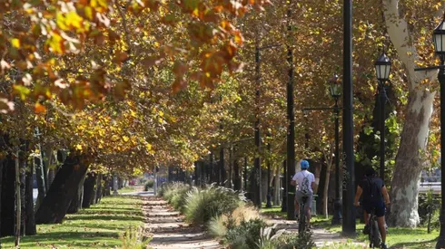 Actividades Fase 1 - Restricción