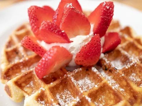 ¿Cómo hacer waffles veganos?