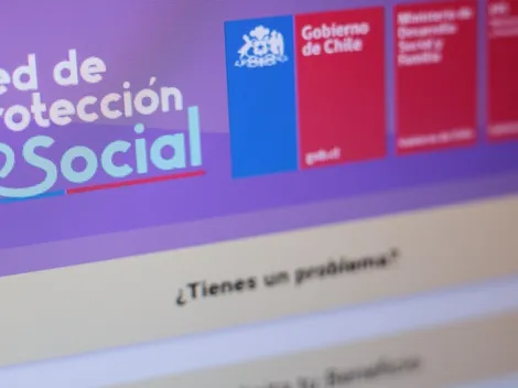 ¿Cuáles son los bonos disponibles a los que puedo acceder?