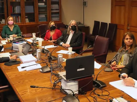 ¿Cuándo se vota la PGU en el Senado?