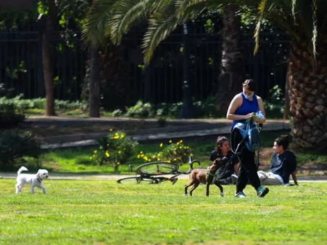 ¿Qué aforos están permitidos en Fase 2- Transición y cuáles son las actividades permitidas?