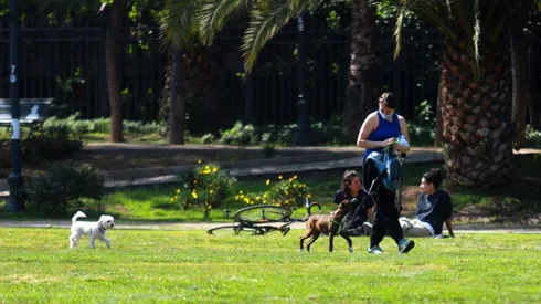 Actividades y aforos Fase 2 - Transición