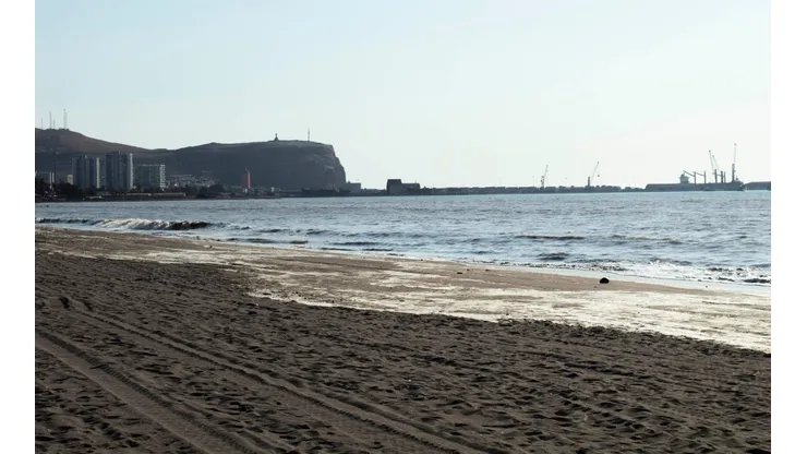 Arica