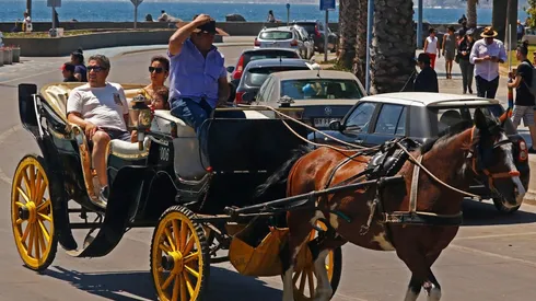 Coches Victoria Viña del Mar