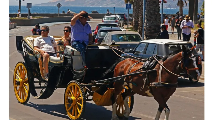 Coches Victoria Viña del Mar