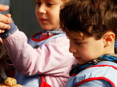 Consulta AQUÍ por los resultados de postulación Junji 2022 y el proceso a seguir