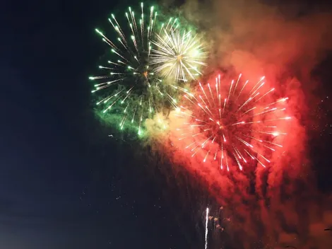 ¿Cuáles son las medidas para proteger a las mascotas de los fuegos artificiales?