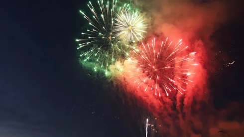 Medidas para proteger a las mascotas de los fuegos artificiales