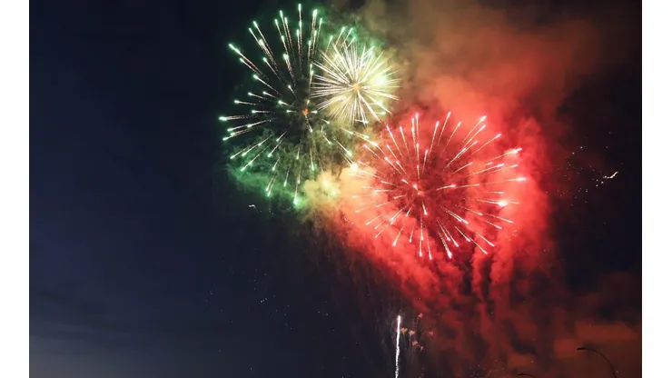 Medidas para proteger a las mascotas de los fuegos artificiales