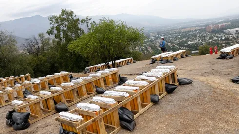 Cerro Calán. Las Condes